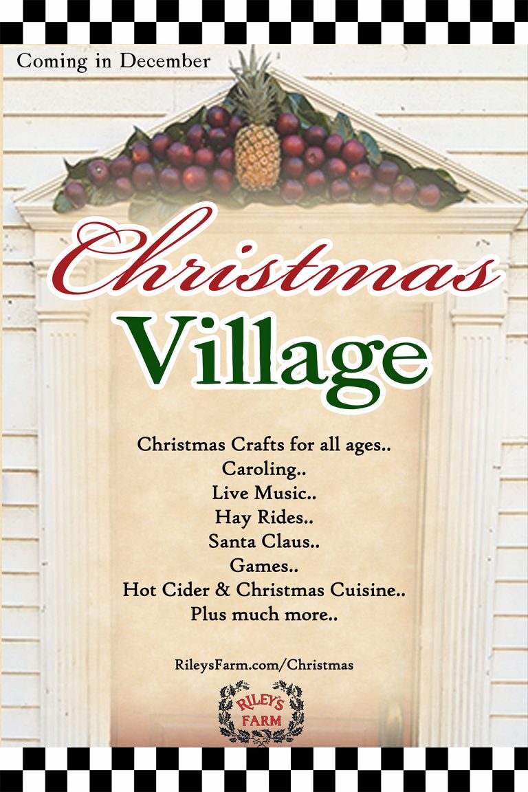 Christmas Village Riley s Mercantile